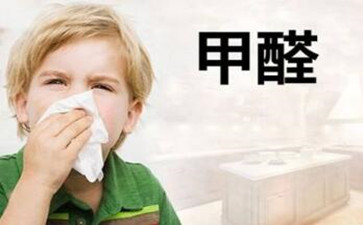 劣質涂料危害大